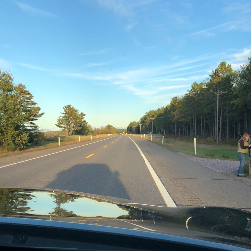 Meet your Posher, Rhiannon